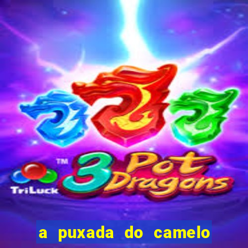 a puxada do camelo no jogo do bicho