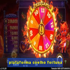 plataforma coelho fortuna