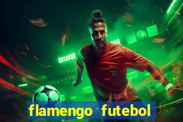 flamengo futebol play hd