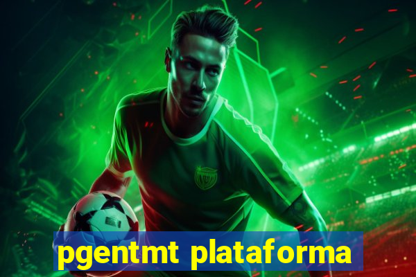 pgentmt plataforma