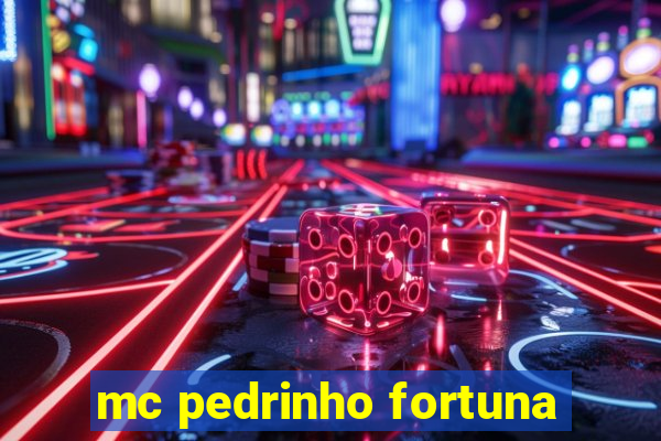 mc pedrinho fortuna