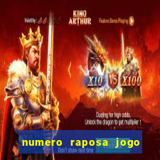 numero raposa jogo do bicho