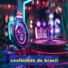 coelhinhas do brasil