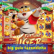 big gula fazendinha