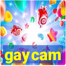 gaycam