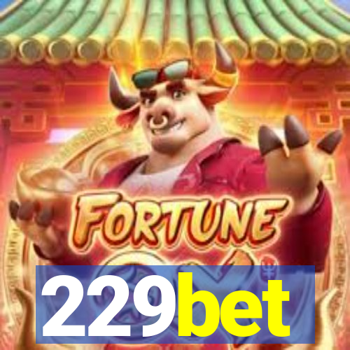 229bet