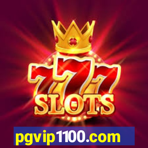 pgvip1100.com