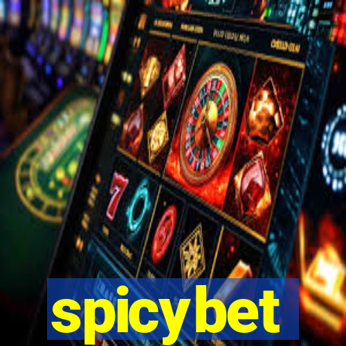 spicybet-4.com